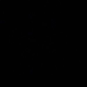 Meet your Posher, Daniela